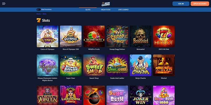 Screenshot of the Bison Casino casino page