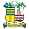 Solihull Moors logo