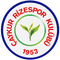 Rizespor logo