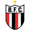 Botafogo SP logo