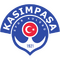 Kasimpasa logo