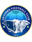 Enyimba logo