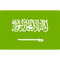 Saudi Arabia logo