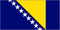 Bosnia and Herzegovina logo