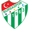 Bursaspor logo