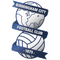 Birmingham City U21 logo