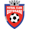 Botosani logo