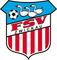 FSV Zwickau logo