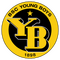 Young Boys logo