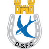 Dungannon Swifts