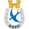 Dungannon Swifts logo